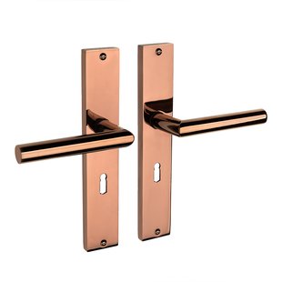 Mooi Deurbeslag Ferro geveerd op schild sleutelgat 55mm PVD glanzend brons