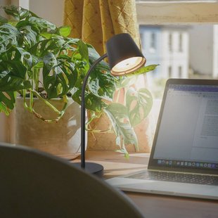 Briloner Biwo LED tafellamp, zwart, met touchdimmer, metaal