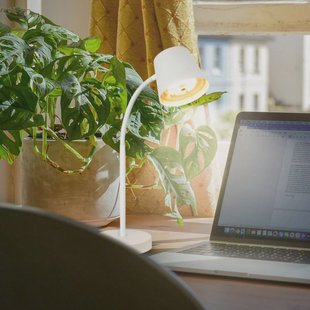 Briloner Biwo LED tafellamp, wit, met touchdimmer, metaal