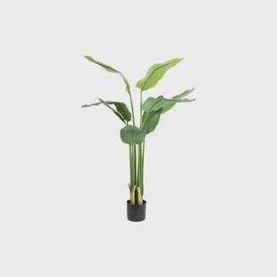 Countryfield kunst plant Strelitzia S groen-L50B40H90CM
