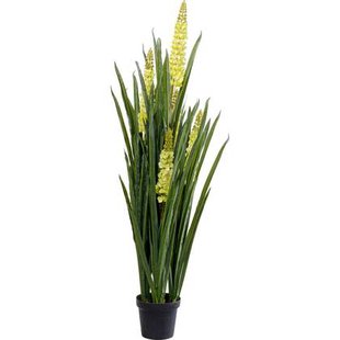 Kunstplanten Rhynchostylis 150cm Kare Design