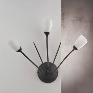 Jupiter Wandlamp Gloriosa, zwart, glas, 3-lamps