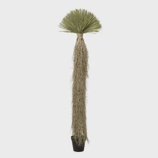 Kunstplanten Yucca 240cm Kare Design