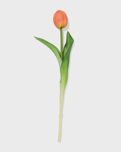 HEMA Kunstbloem 34cm tulp perzik