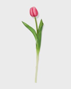 HEMA Kunstbloem 34cm tulp roze