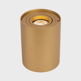 Lucide TUBE Tafellamp - Mat Goud | Messing