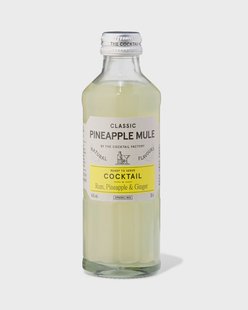HEMA The Cocktail Factory Pineapple Ginger 200ml