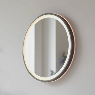 Paul Neuhaus LED-wandspiegel VIDRO, grijs, Ø 46 cm, powerbank, schakelaar