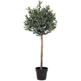 House Nordic Olijfboom Kunstplant H120 cm