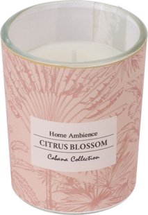 Geurkaars In Glas Set 3 stuks