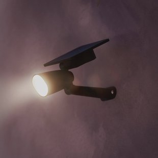 Philips LED-buitenspot Ashlyn, zwart, IP44