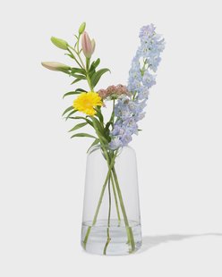 HEMA Vaas 30cm glas (transparant)