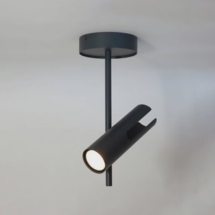SIGMA Plafondspot Leda 1, antraciet, 1-lamp, staal, hoogte 34 cm