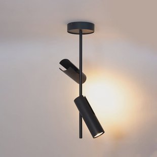 SIGMA Plafondspot Leda 2, antraciet, 2-lamps, staal, hoogte 55 cm