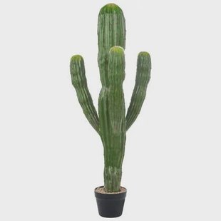 Beliani - MAROCCO CEREUS - Kunstplant - Groen - 115 cm - Kunststof