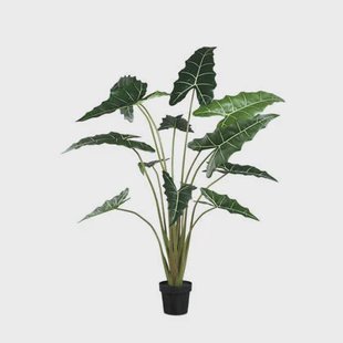 PTMD Leaves Plant Green Alocasia Plant In Pot L