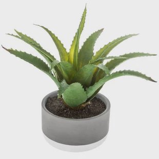 Atmosphera - vetplant kunstplant - in pot van cement - 22 cm