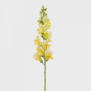 Fleurdirect Kunstbloem Antirrhinum - - Polyester - 0x78x0cm (BxHxD)