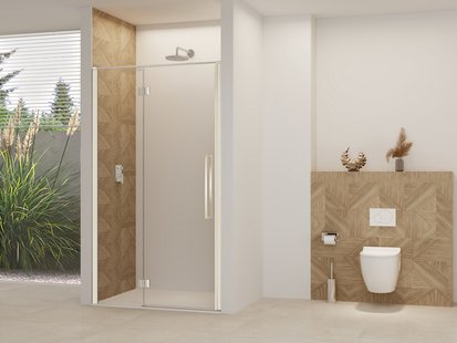 Nisdeur Van Rijn Products ST07 Aan Vast Deel 120x200 cm 8 mm Helder Glas Incl. Beslag, Greep en Stabilisatiestang Geborsteld RVS