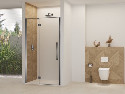 Nisdeur Van Rijn Products ST07 Aan Vast Deel 120x200 cm 8 mm Helder Glas Incl. Beslag, Greep en Stabilisatiestang Geborsteld Gunmetal