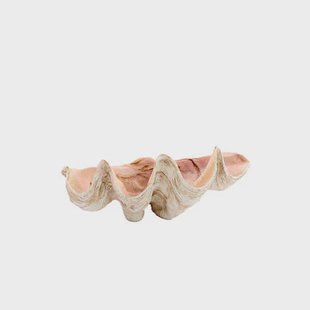 Light & Living - Ornament SHELL - 41x25x17cm - Bruin