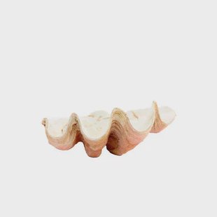 Light & Living - Ornament SHELL - 41x25x17cm - Oranje