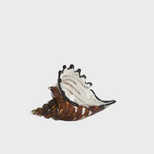 Light & Living - Ornament SHELL - 22x10x12cm - Bruin
