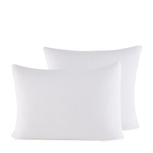 Kussensloop in biologisch tetra, Yafa