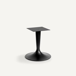 Tulpvormige tafelpoot, Hisia