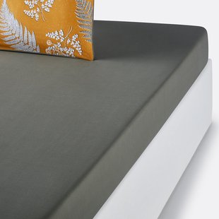 Hoeslaken in perkalkatoen, Fougère