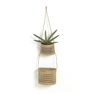 Hangende mandjes in herbarium Cesta