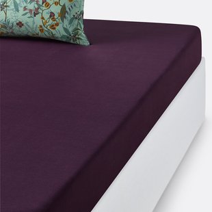 Hoeslaken in gewassen katoen, Béronise