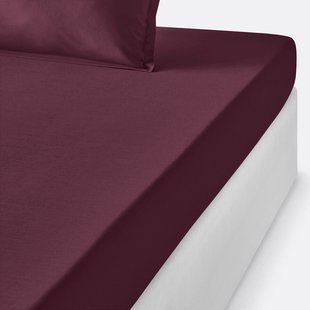 Hoeslaken in perkalkatoen, Scénario