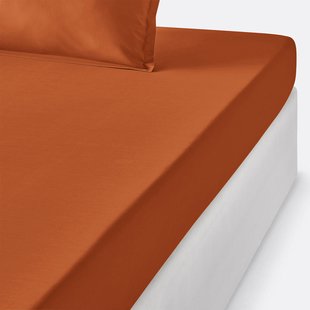 Hoeslaken in perkalkatoen, Scénario