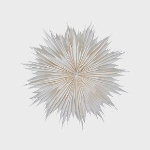 Dust Ster Off-White House Doctor - Woonkamer - Papier / Karton