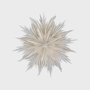 Dust Ster Off-White House Doctor - Woonkamer - Papier / Karton