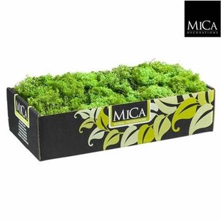 Mica Decorations Mossy Decoratiemos - 500 g - Groen