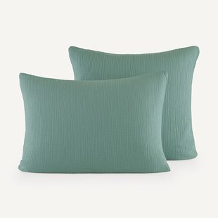 Kussensloop in biologisch tetra, Yafa