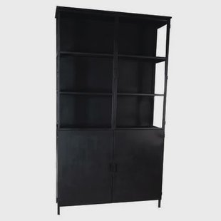 PTMD Elina Glass cabinet black iron frame 2 doors