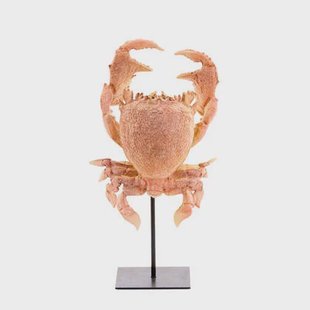 Light & Living - Ornament CRAB - 23x12.5x42.5cm - Oranje