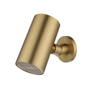 Hoofddouche BWS Maya Beam Rond 1 Stand met Muurbevestiging Geborsteld Messing PVD