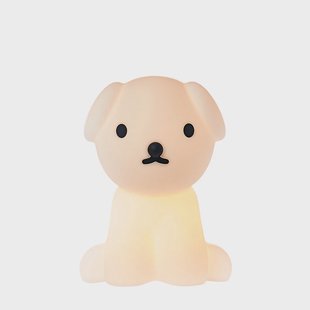 Mr Maria - Snuffy First Light Mr. Maria