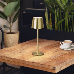 FH Lighting LED tafellamp Roxi, messingkleurig, metaal, IP54 dimbaar