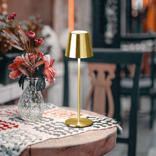 FH Lighting LED tafellamp Viletto, messingkleurig, IP54