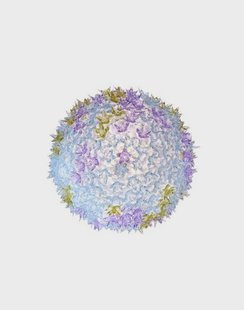 Kartell - Bloom C1 Wandlamp/Plafondlamp Lavendel