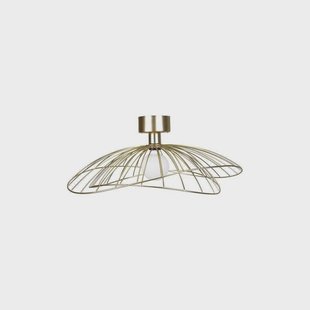 Globen Lighting - Ray 60 Wand-/Plafondlamp Messing