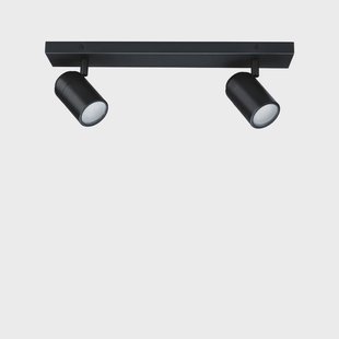 Paulmann - Zyli 2 plafondlamp IP44 dimbaar. Mat zwart