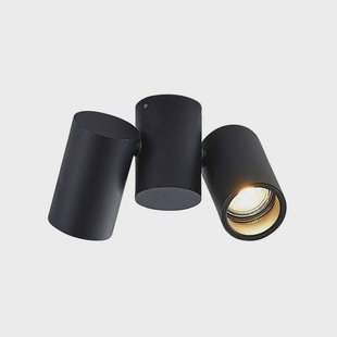 Arcchio - Gesina 2 Plafondlamp Black