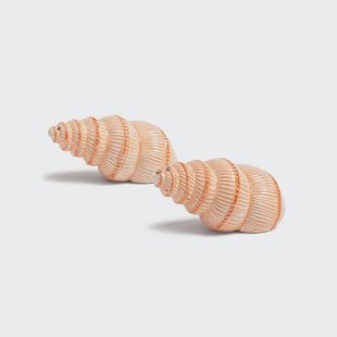 &Klevering - Zout & peper schelp