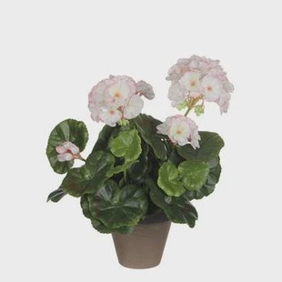 Mica Decorations Geranium Kunstplant - H34 x Ø20 cm - Wit, roze